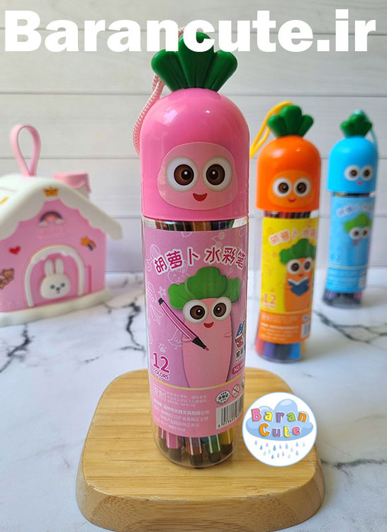 ماژیک رنگ آمیزی 12 رنگ