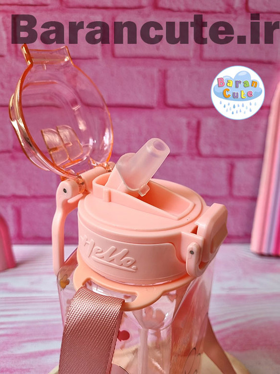 قمقمه فانتزی وارداتی نی دار