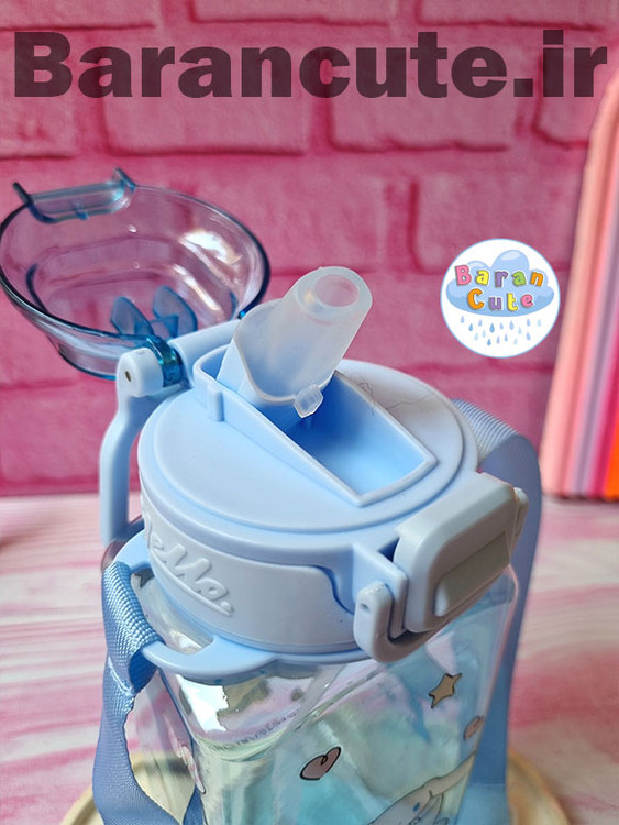 قمقمه فانتزی وارداتی طرح سینامورول