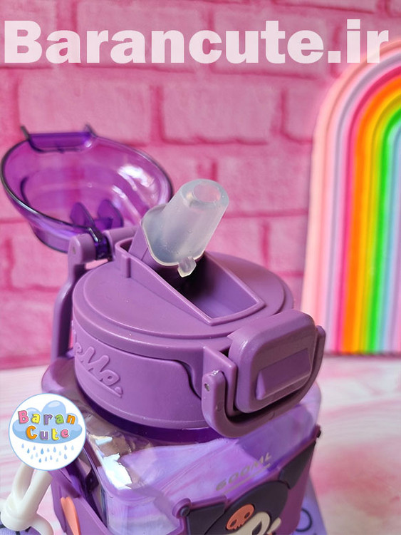 قمقمه فانتزی نی دار طرح کورومی بنفش