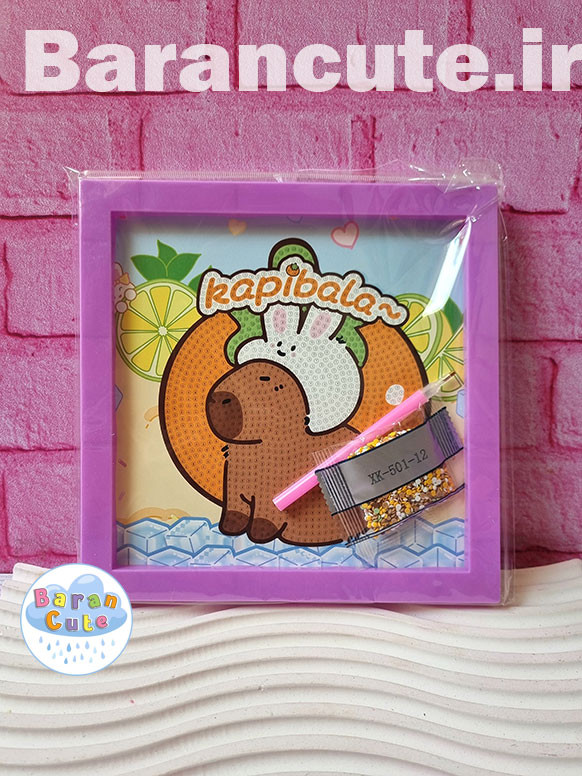 نقاشی الماسی قاب دار 20 در 20 طرح کاپی بارا