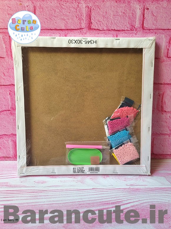 نقاشی الماسی بوم دار سایز بزرگ 30 در 30 سانت 7